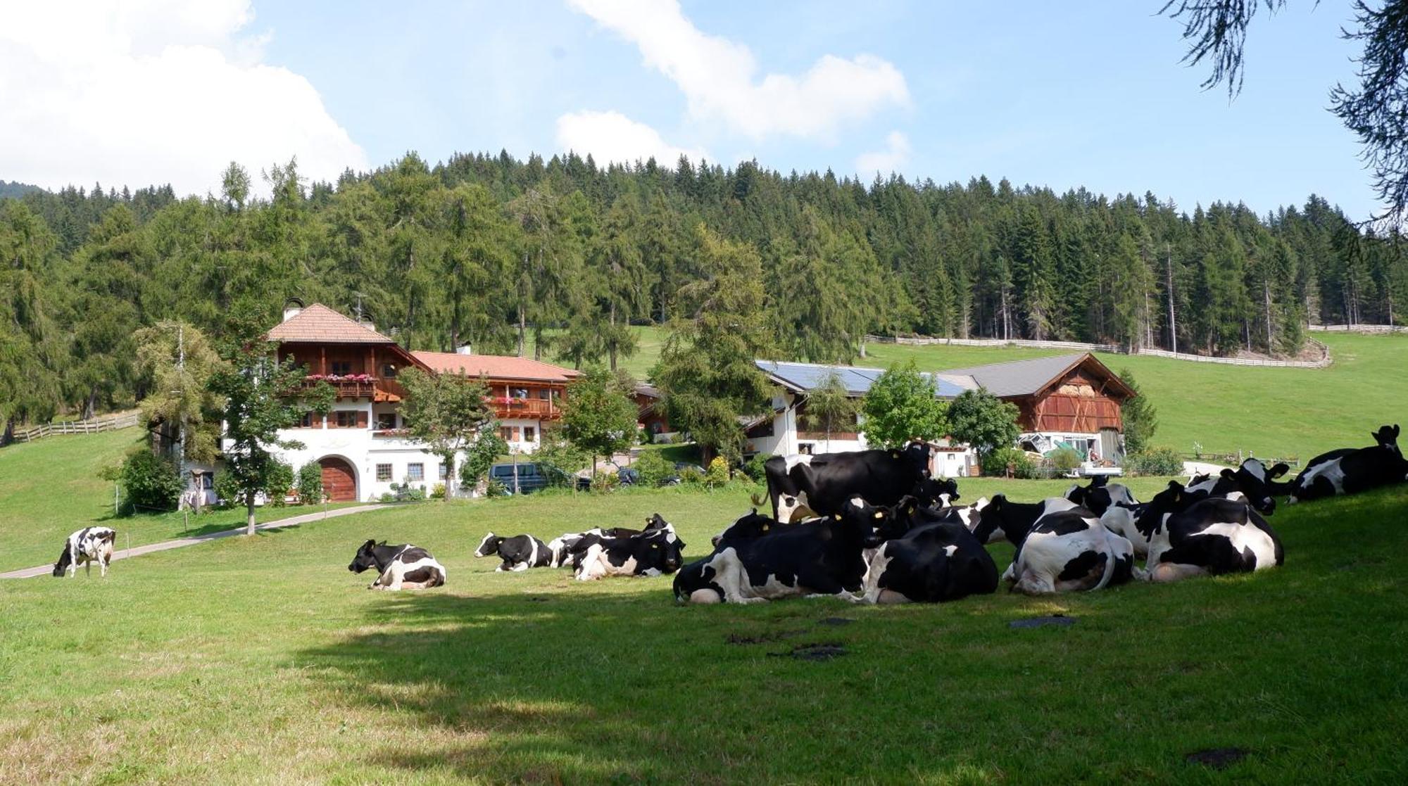 Laerchhof Villa Колалбо Екстериор снимка
